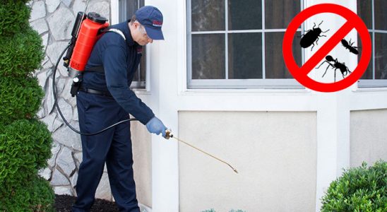 Yunak Kene İlaçlama böcek ilaçlama ve haşere kontrolü — ilaclama-tr.com
